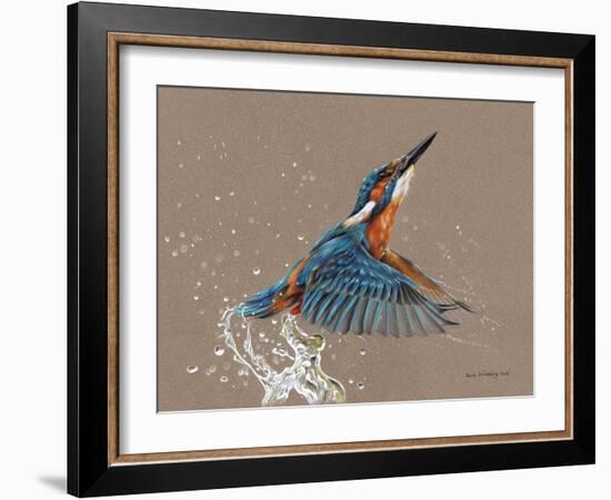 Kingfisher-Sarah Stribbling-Framed Art Print