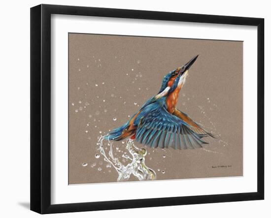 Kingfisher-Sarah Stribbling-Framed Art Print