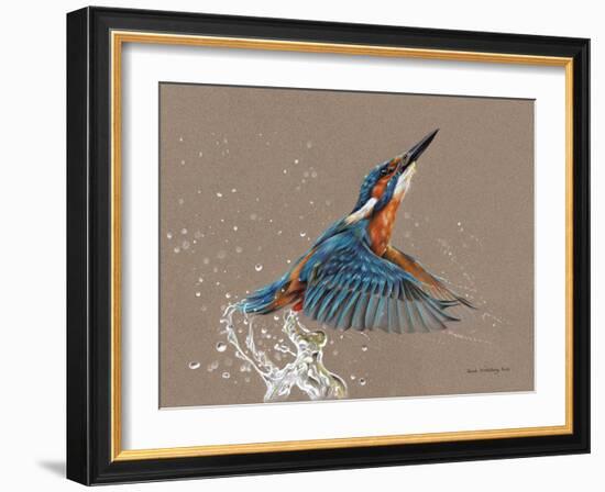 Kingfisher-Sarah Stribbling-Framed Art Print