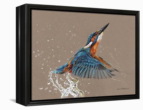 Kingfisher-Sarah Stribbling-Framed Stretched Canvas