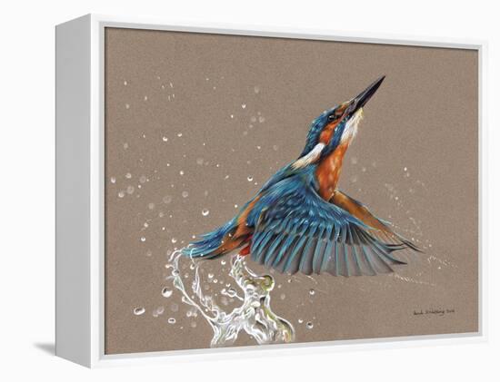 Kingfisher-Sarah Stribbling-Framed Stretched Canvas