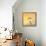 Kingfisher-Koson Ohara-Framed Premier Image Canvas displayed on a wall
