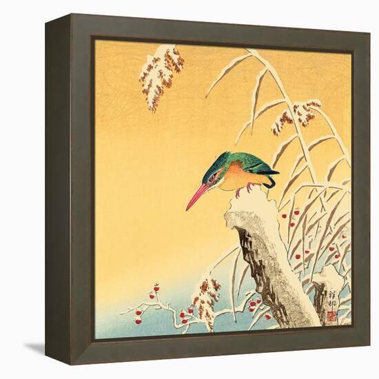 Kingfisher-Koson Ohara-Framed Premier Image Canvas
