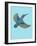 Kingfisher-Drawpaint Illustration-Framed Giclee Print