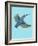 Kingfisher-Drawpaint Illustration-Framed Giclee Print