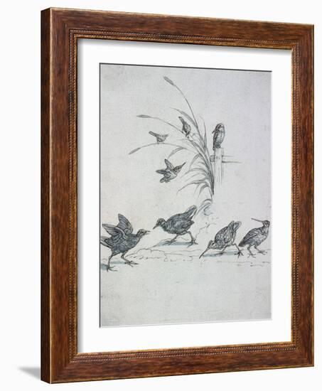 Kingfishers, Curlew and Other Birds, 17Th Century (Drawing)-Francis Barlow-Framed Giclee Print