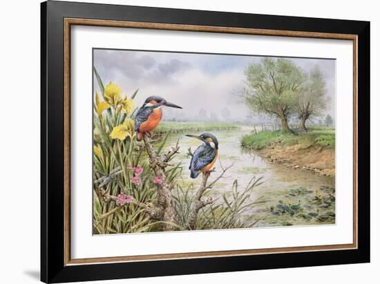 Kingfishers on the Riverbank-Carl Donner-Framed Giclee Print