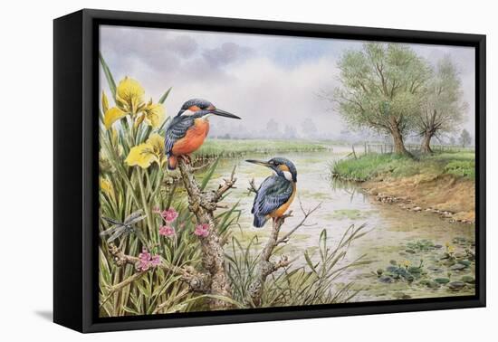 Kingfishers on the Riverbank-Carl Donner-Framed Premier Image Canvas
