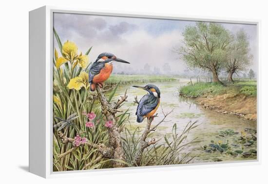 Kingfishers on the Riverbank-Carl Donner-Framed Premier Image Canvas