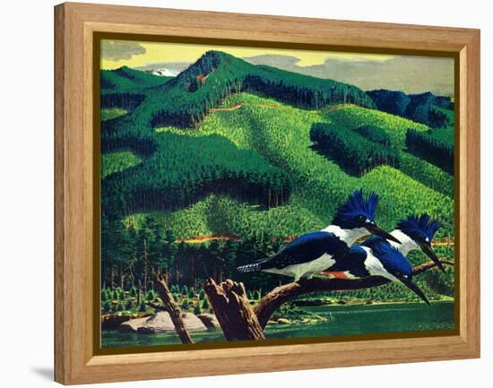 Kingfishers-Stan Galli-Framed Premier Image Canvas