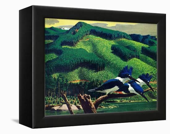 Kingfishers-Stan Galli-Framed Premier Image Canvas