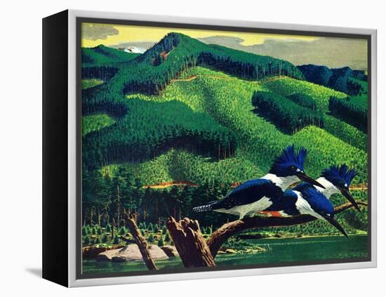 Kingfishers-Stan Galli-Framed Premier Image Canvas