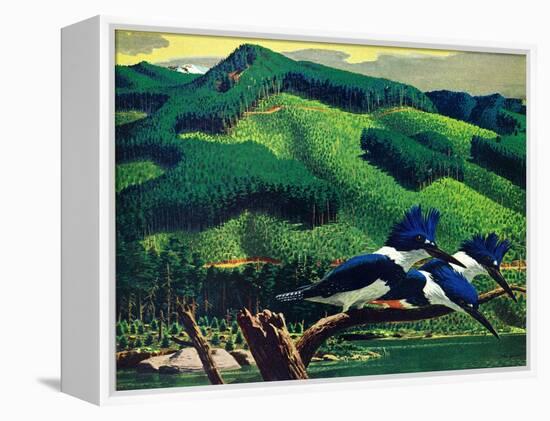 Kingfishers-Stan Galli-Framed Premier Image Canvas