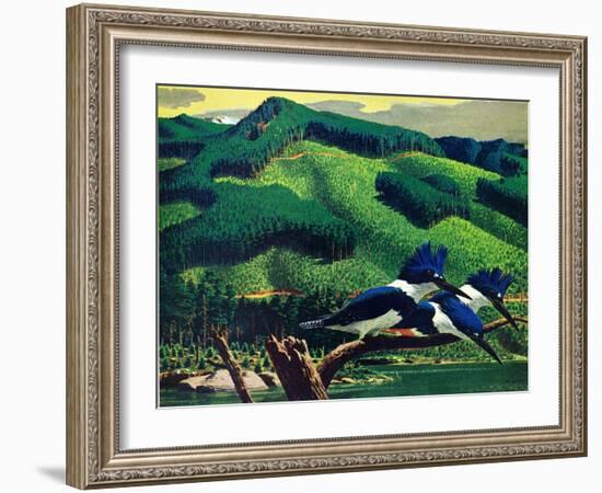 Kingfishers-Stan Galli-Framed Giclee Print