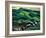 Kingfishers-Stan Galli-Framed Giclee Print