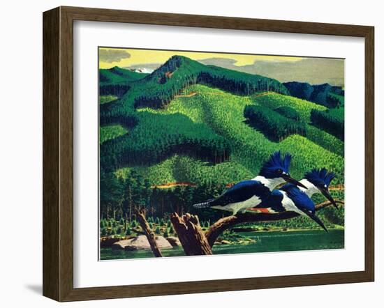 Kingfishers-Stan Galli-Framed Giclee Print