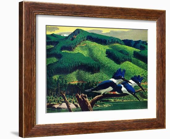 Kingfishers-Stan Galli-Framed Giclee Print