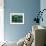 Kingfishers-Stan Galli-Framed Giclee Print displayed on a wall