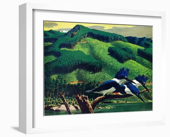 Kingfishers-Stan Galli-Framed Giclee Print