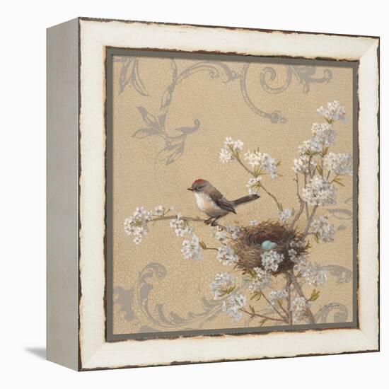 Kinglet and Pear-Jill Schultz McGannon-Framed Stretched Canvas