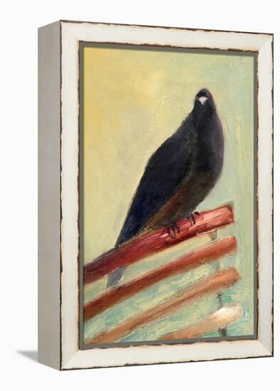 Kingly Court Pigeon, 2013-Nancy Moniz-Framed Premier Image Canvas