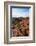 Kings Canyon, Northern Territory, Australia, Pacific-Michael Runkel-Framed Photographic Print