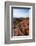 Kings Canyon, Northern Territory, Australia, Pacific-Michael Runkel-Framed Photographic Print