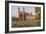 Kings College Chapel, Cambridge-Alfred Robert Quinton-Framed Giclee Print