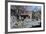 Kings Court, Bakewell, Derbyshire, 2009-Trevor Neal-Framed Giclee Print