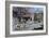 Kings Court, Bakewell, Derbyshire, 2009-Trevor Neal-Framed Giclee Print