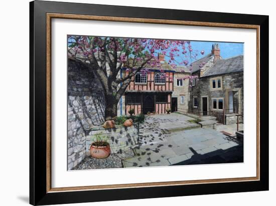 Kings Court, Bakewell, Derbyshire, 2009-Trevor Neal-Framed Giclee Print