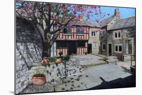 Kings Court, Bakewell, Derbyshire, 2009-Trevor Neal-Mounted Giclee Print