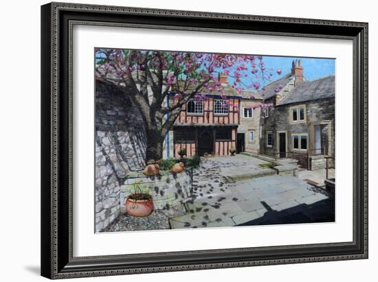 Kings Court, Bakewell, Derbyshire, 2009-Trevor Neal-Framed Giclee Print