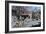 Kings Court, Bakewell, Derbyshire, 2009-Trevor Neal-Framed Giclee Print