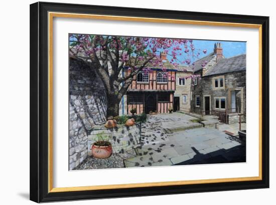 Kings Court, Bakewell, Derbyshire, 2009-Trevor Neal-Framed Giclee Print