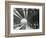 Kings Cross Station, Camden, London, 1970-null-Framed Giclee Print