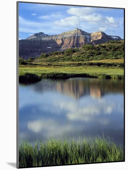 Kings Peak Massif Reflected, High Uintas Wilderness, Utah, Usa-Scott T^ Smith-Mounted Photographic Print