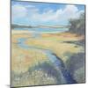 Kingsbridge Estuary, 2008-Jennifer Wright-Mounted Giclee Print