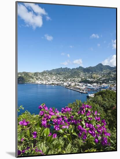 Kingstown Harbour, St. Vincent, St. Vincent and the Grenadines, Windward Islands-Michael DeFreitas-Mounted Photographic Print