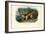 Kinkajou, 1863-79-Raimundo Petraroja-Framed Giclee Print