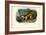 Kinkajou, 1863-79-Raimundo Petraroja-Framed Giclee Print