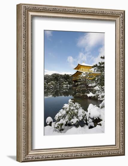 Kinkaku-ji Temple (Golden Pavilion), UNESCO World Heritage Site, in winter, Kyoto, Japan, Asia-Damien Douxchamps-Framed Photographic Print