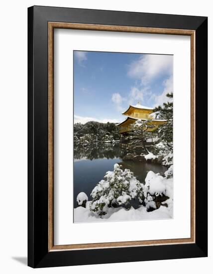 Kinkaku-ji Temple (Golden Pavilion), UNESCO World Heritage Site, in winter, Kyoto, Japan, Asia-Damien Douxchamps-Framed Photographic Print