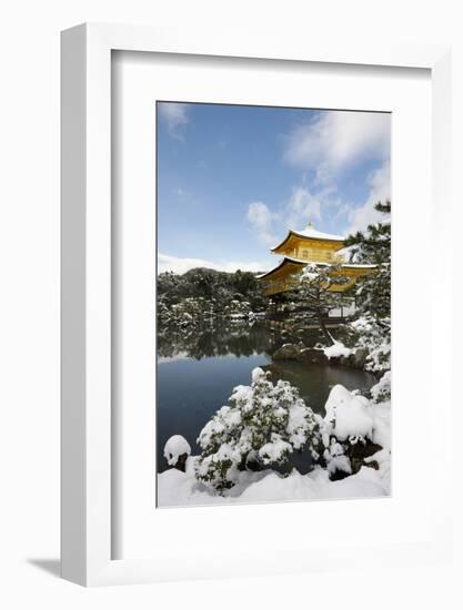 Kinkaku-ji Temple (Golden Pavilion), UNESCO World Heritage Site, in winter, Kyoto, Japan, Asia-Damien Douxchamps-Framed Photographic Print