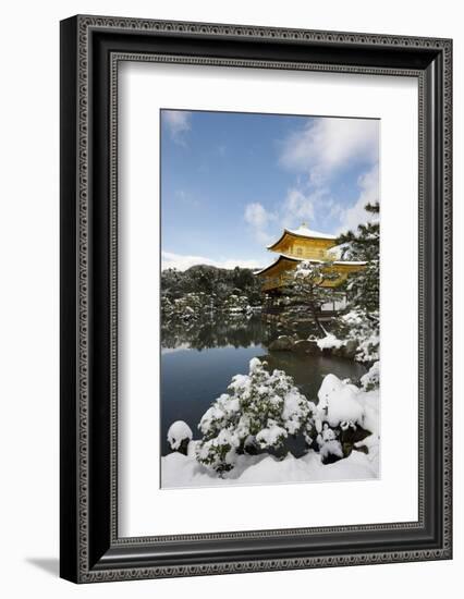 Kinkaku-ji Temple (Golden Pavilion), UNESCO World Heritage Site, in winter, Kyoto, Japan, Asia-Damien Douxchamps-Framed Photographic Print