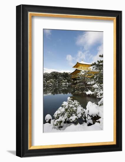 Kinkaku-ji Temple (Golden Pavilion), UNESCO World Heritage Site, in winter, Kyoto, Japan, Asia-Damien Douxchamps-Framed Photographic Print