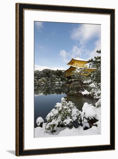 Kinkaku-ji Temple (Golden Pavilion), UNESCO World Heritage Site, in winter, Kyoto, Japan, Asia-Damien Douxchamps-Framed Photographic Print