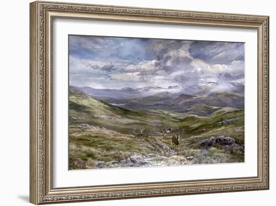 Kinrara, Aviemore, Scotland, 1988-Tim Scott Bolton-Framed Giclee Print