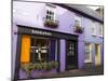 Kinsale, County Cork, Munster, Republic of Ireland-R H Productions-Mounted Photographic Print