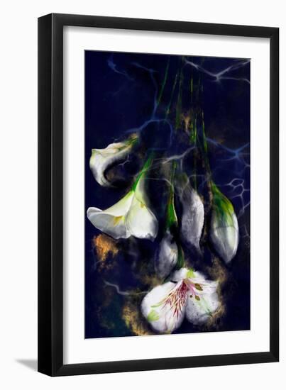 Kintsugi - Japanese Lily Flowers-Stella Chang-Framed Art Print